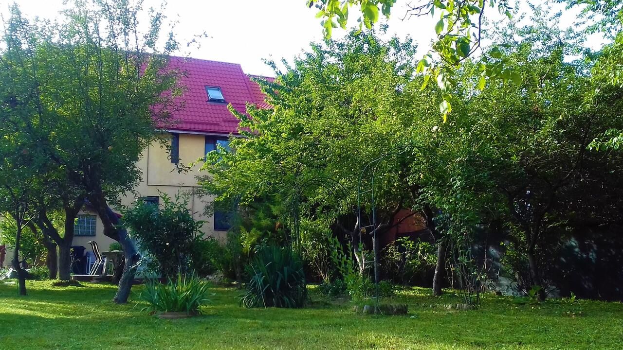 Гостевой дом Carpathian Villa Sibiu Сибиу-6