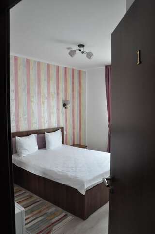 Гостевой дом Carpathian Villa Sibiu Сибиу Двухместный номер с 1 кроватью и собственной ванной комнатой-3