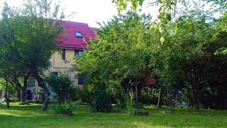 Гостевой дом Carpathian Villa Sibiu Сибиу-2